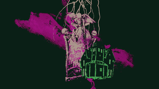 insectiwne.tumblr.com